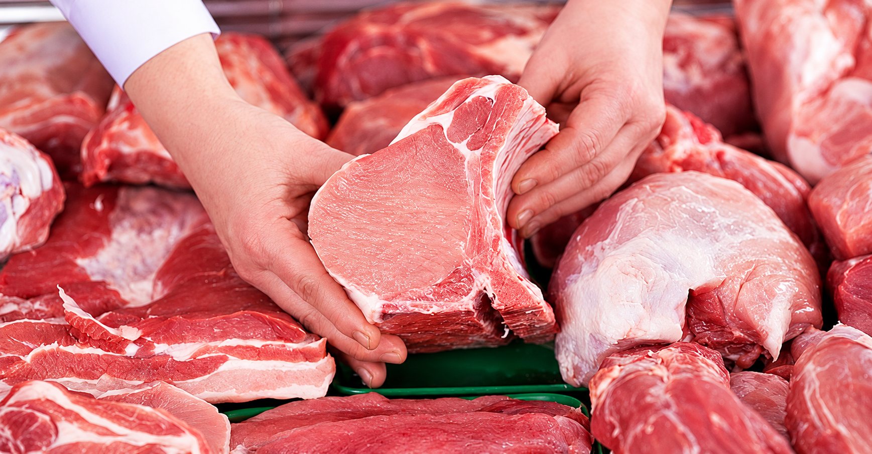 Deux mains présentent une côte de porc crue au-dessus d'un étal de boucherie garni de morceaux de viande fraîche.